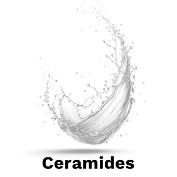 download - 2025-06-06T143938.795 - Copy - Copy - Copy