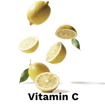 download - 2025-06-06T143944.992 - Copy - Copy - Copy