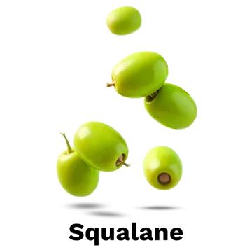 download - 2025-06-06T144028.106