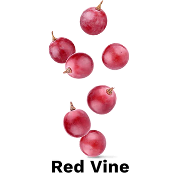 download - 2025-06-06T144156.921