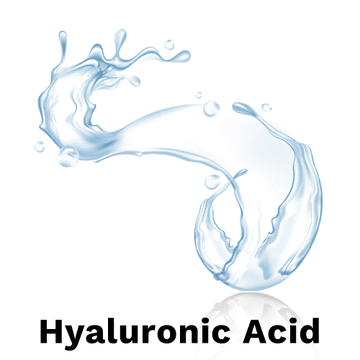 download - 2025-06-06T144203.152