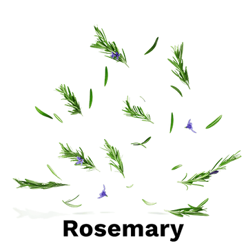 download - 2025-06-06T144210.139